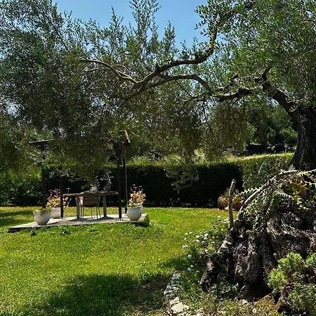 Apartman Serenity Arillas Corfu
